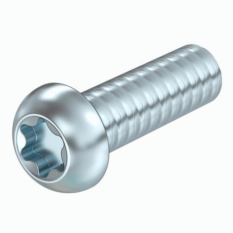 Болт с плоской головкой со шлицем Torx, сталь 20 | M6