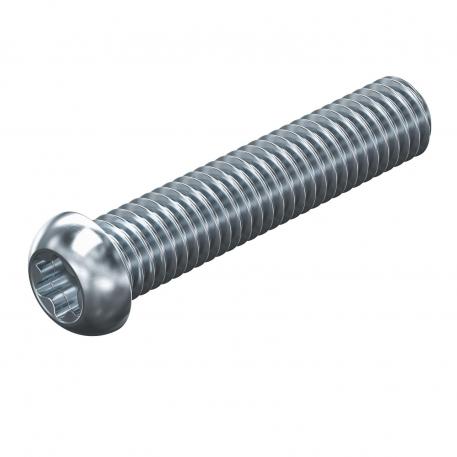 Болт с плоской головкой со шлицем Torx, сталь 35 | M6