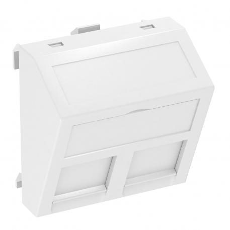 Data technology support, 1 module, slanting outlet, type RM yes | Pure white; RAL 9010